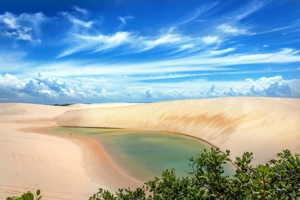 Sladké Vody Laguny Zelenou Vegetací Popředí Lencois Maranhenses Severní Brazílii — Stock fotografie