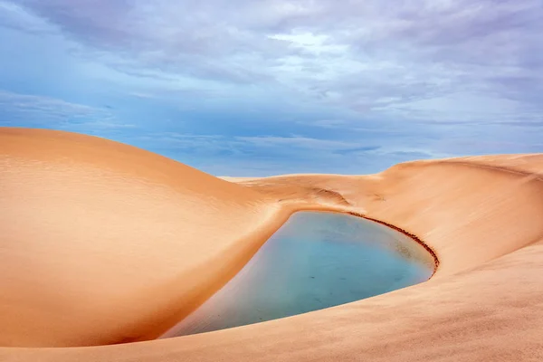 Colorida Laguna Agua Dulce Lencois Maranhenses Brasil —  Fotos de Stock