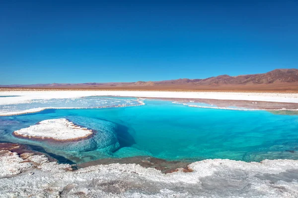 Increíble Escenario Desierto Atacama Chile —  Fotos de Stock