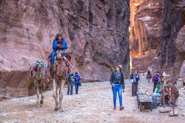 Petra Jordânia Fevereiro 2018 Uma Jovem Turista Observando Camelo Local — Fotografia de Stock