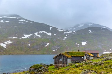 Çatıda bir bulutlu sis gün gölde Norveç'te önünde çim ile geleneksel evleri