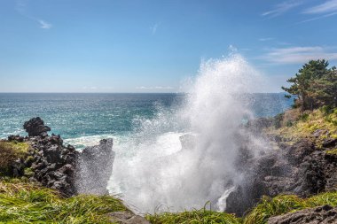 Jeju adasında kayalarda sıçramasına dalga