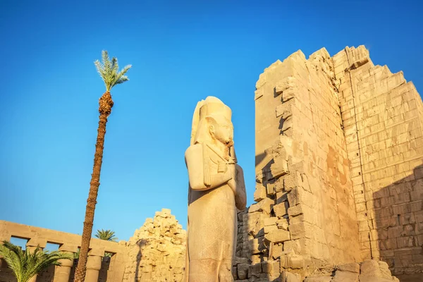 Tempel Van Luxor Een Late Namiddag Egypte — Stockfoto