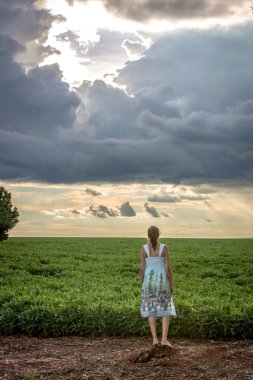 Bir gün batımı bir büyük soya ürün Brezilya üzerinden hayran kadın