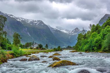 Bir orman ve Norveç'te arka planda büyük dağlar arasında güçlü geçerli akış ile bir nehir üzerinde bir kuş görünümü