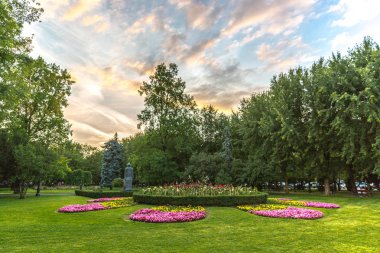 Brazov Romanya'da ortak bir parkta çiçekli inanılmaz renkli bahçe