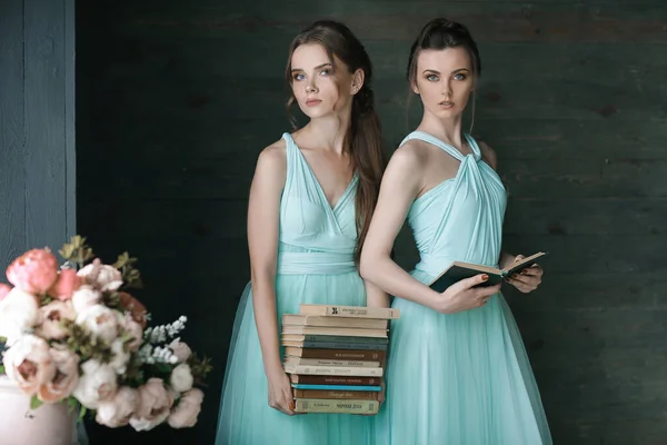 Hermosas Chicas Vestidos Largos Holsing Libros Lectura Encanta Leer Lectura — Foto de Stock