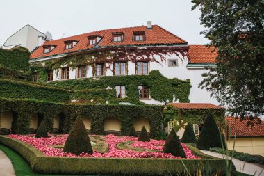 Geleneksel evleri bitkilerle twined Vrbov garden Çek Cumhuriyeti Prag oteller. Geleneksel Çek mimarisi