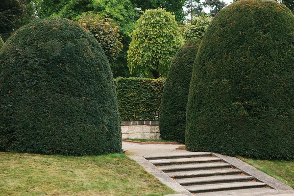 Cozy well-groomed park or garden with plants and flowers in Prague in the Czech Republic. The staircase between the plants leads to the park or garden