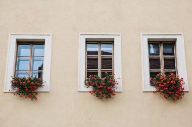 Birçok windows güzel kırmızı çiçekler ile dekore edilmiştir. Bitkiler ile bir ev dekorasyon fikri