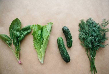 Salatalık, ıspanak, yeşil salata ve dereotu birlikte yalan. Yeşiller karışımı. Bir dizi faydalı ürünler