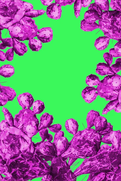 Cactus púrpura surrealista sobre un fondo verde con un estilo minimalista —  Fotos de Stock