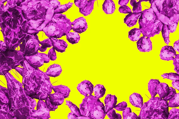 Minimál stílus sárga alapon szürreális lila kaktusz — Stock Fotó