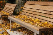 Dřevěné lavičky v parku s žluté listí na podzim. Podzimní scéna.