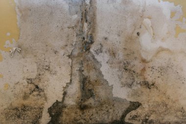 Banyoda eski duvar kalıp ile kaplıdır