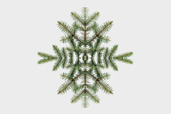 Un motif de branches d'épinette en forme de flocon de neige sur fond blanc . — Photo