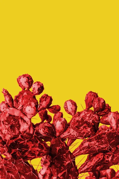 Surrealistischer roter Kaktus auf gelbem Hintergrund im trendigen minimalistischen Stil — Stockfoto