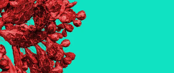 Surrealistiska röd kaktus på en blå bakgrund i minimalistisk stil. Närliggande plats för text — Stockfoto