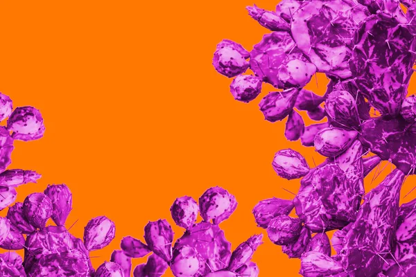 Cactus viola surrealistico su sfondo arancione in stile minimale — Foto Stock