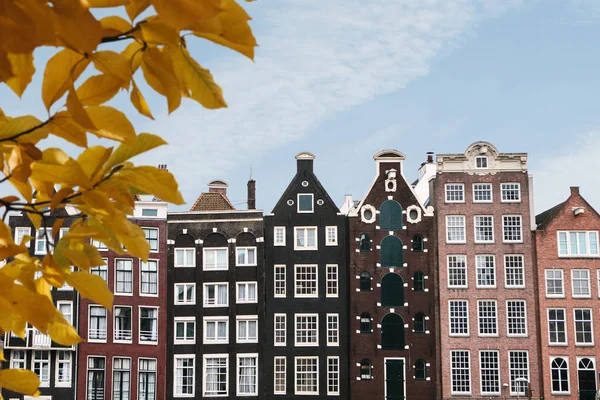 Casas tradicionales en Amsterdam en los Países Bajos . — Foto de Stock