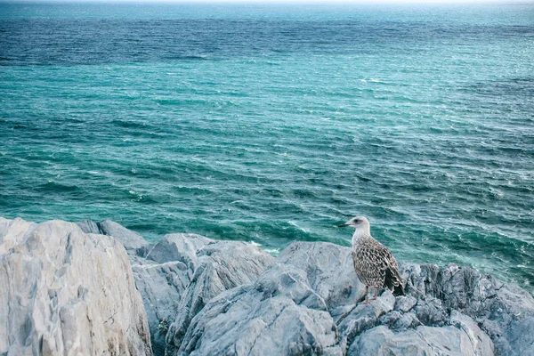 Hermosa vista del océano o el mar desde la costa . —  Fotos de Stock