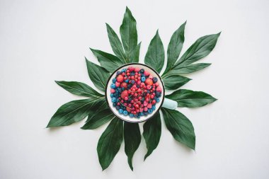 Çeşitli meyveler ile dolu bir kupa yeşil yapraklarda standları.