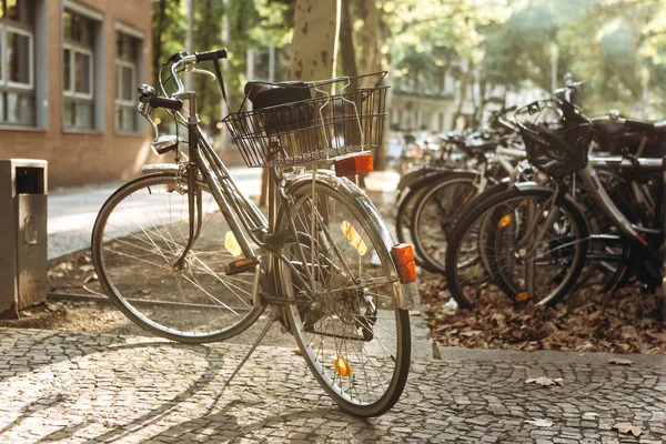 Πολλά ποδήλατα είναι σταθμευμένα στο δρόμο της Λειψίας στη Γερμανία. Το φθινόπωρο. Οικολογικές μεταφορές και ένα δημοφιλές μέσο μεταφοράς στην Ευρώπη — Φωτογραφία Αρχείου