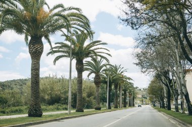 Portekiz güneyinde küçük bir kasabasında bir asfalt yol