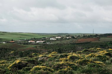 Engebeli bir arazi üzerinde yeşil ağaçlar ile güzel bir doğal manzara. Mesafe küçük bir kasaba.