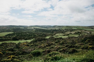 Güzel bir doğal manzara mavi gökyüzü karşı engebeli bir arazi üzerinde yeşil ağaçlar ile.