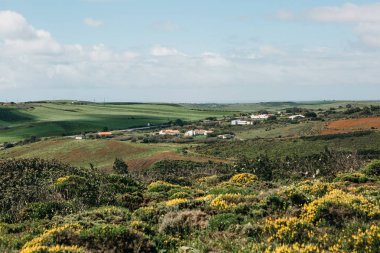 Engebeli bir arazi üzerinde yeşil ağaçlar ile güzel bir doğal manzara. Mesafe küçük bir kasaba.