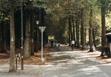 İnsanlarla Bisiklet Bisiklet yol boyunca yolculuk. Her gün şehir hayatı.