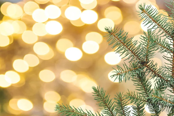 Fondo de Navidad o Año Nuevo. Rama verde del árbol de Navidad sobre un fondo dorado — Foto de Stock