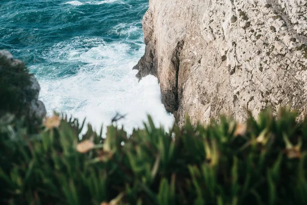 Prachtig uitzicht op de Atlantische Oceaan en de kust kliffen en de planten. — Stockfoto