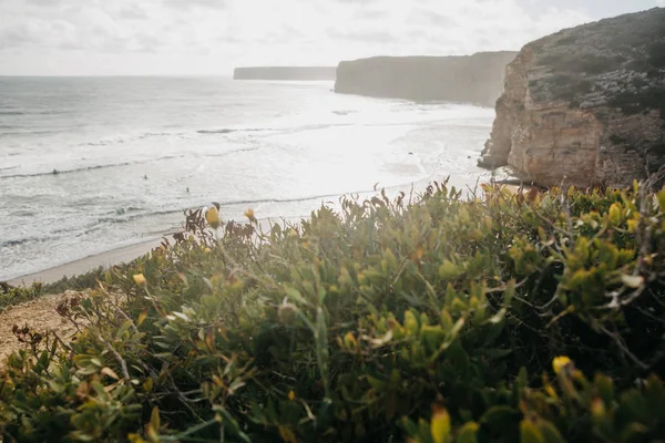 Belas vistas do Oceano Atlântico e falésias e plantas costeiras . — Fotografia de Stock