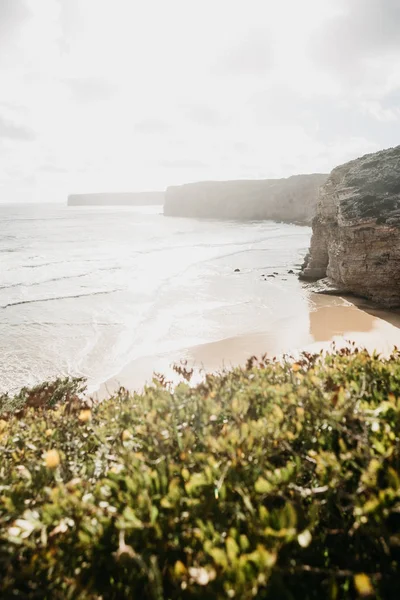 Schöne Aussicht auf den Atlantik und die Küsten Klippen und Pflanzen. — Stockfoto