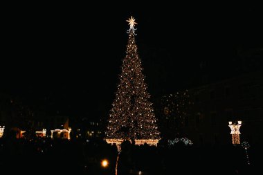 Geceleri süslenen Noel ağacı Varşova ana meydanında.