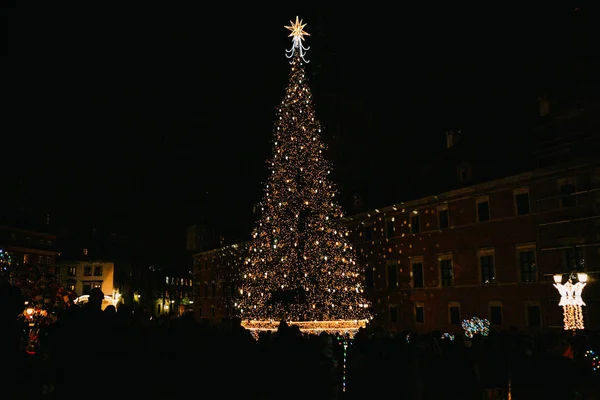 Decorated Christmas tree on the main square in Warsaw at night. — Stock Photo, Image