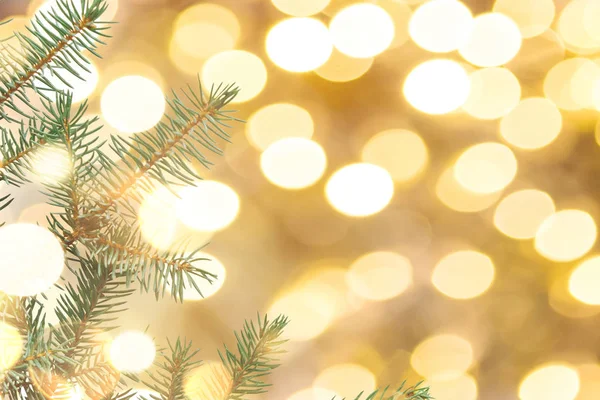 Fondo de Navidad o Año Nuevo. Rama verde del árbol de Navidad sobre un fondo dorado — Foto de Stock