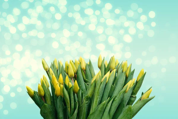 Spousta žlutých tulipánů na slavnostní pozadí. Nejlepší místo pro text — Stock fotografie