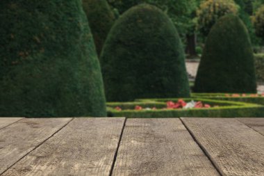 Ahşap tahta veya tablo veya yüzey veya kat doğal bir park arka plan üzerinde