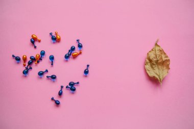 Birçok hapları veya kapsül hyaluronik asit ve koenzim q10. Cilt sağlığı için bakım