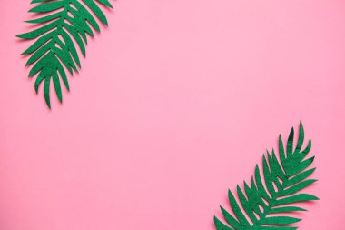 Fern en az tarzı pembe bir arka plan üzerinde bırakır. Orta metni için bir yer var.