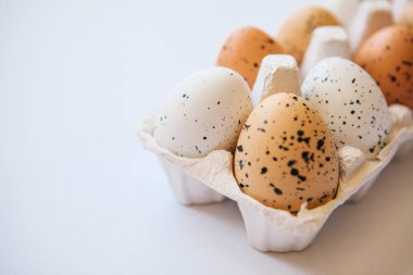 Yumurta bir kapta bir dizi