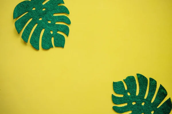 Monstera hojas sobre un fondo amarillo en estilo minimalista. En el medio hay un lugar para el texto —  Fotos de Stock