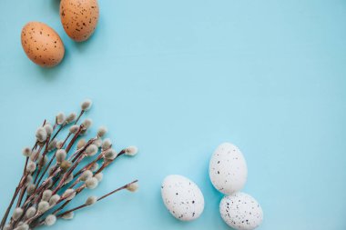 Bir söğüt dalı ve yumurta