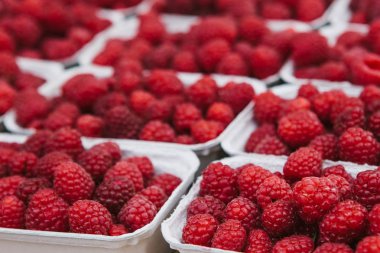 Kaplarda bir sürü ahududu