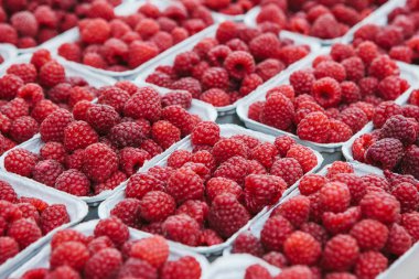 Kaplarda bir sürü ahududu