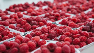 Kaplarda bir sürü ahududu