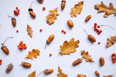 sonbahar soyut kompozisyon.